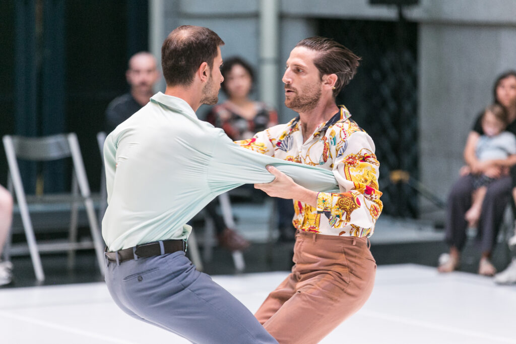 Festival IDEM, artes escénicas producción, la casa encendida